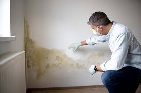 Best Mold Odor Removal Services  in Greenfield, CA